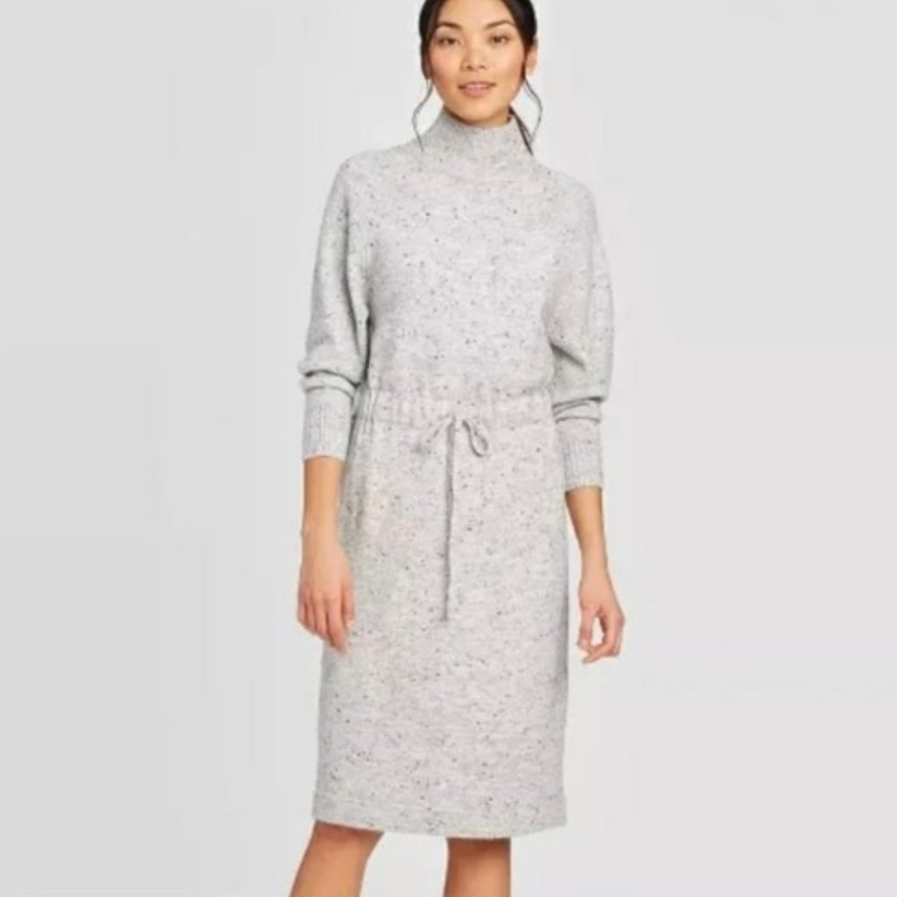 Prologue | Long Sleeve Mock Turtleneck Sweater Dress